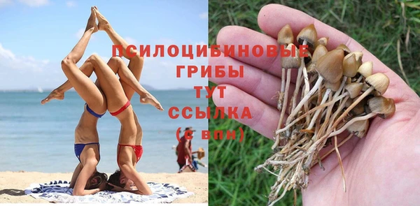 молекула духа Волосово