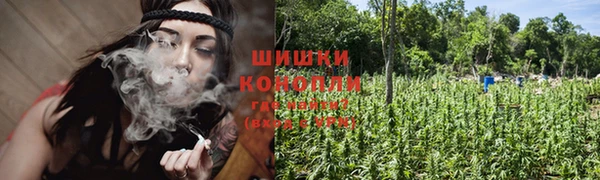 молекула духа Волосово