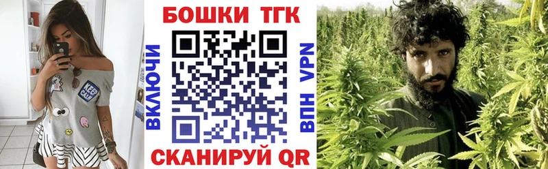 Купить закладки  Киселёвск  Бошки Шишки OG Kush 